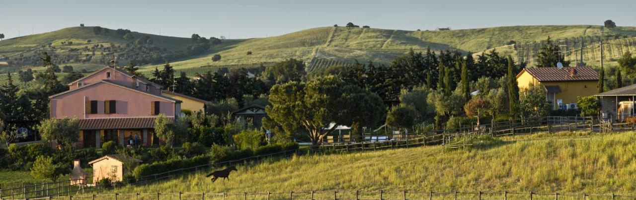 Agriturismo Il Melograno Di Banditella Alberese Bagian luar foto